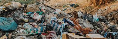 Indonesia Darurat Lingkungan: Krisis Kronis Ancam Masa Depan