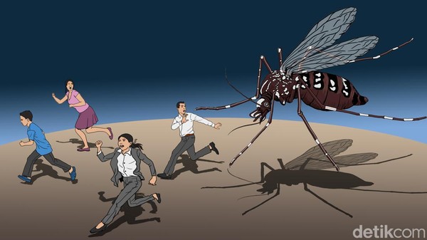 Waspada DBD di Awal Januari: Tips Dinkes Cegah Nyamuk