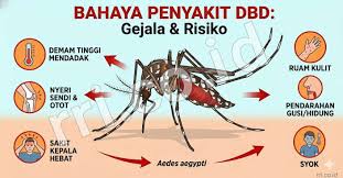 Waspada DBD di Awal Januari: Tips Dinkes Cegah Nyamuk